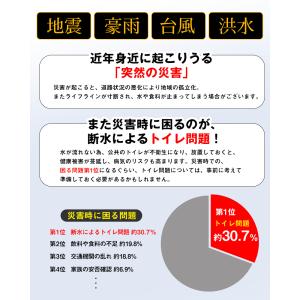 携帯トイレ 簡易トイレ 災害用 車 3個 携帯...の詳細画像1
