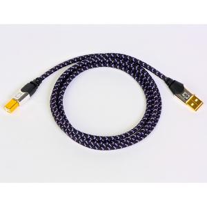 Acoustune（アコースチューン） HS2000MX SHO-笙-MKIII 有線イヤホン