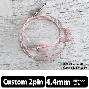 final（ファイナル） シルバーコートケーブル MMCX 1.2m 4.4mm 5極