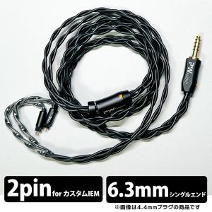 PW AUDIO Moloch (CIEM 2pin 4.4mm Balanced) イヤホン ケーブル リ