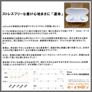 radius Beethoven ブルーグレー...の詳細画像3