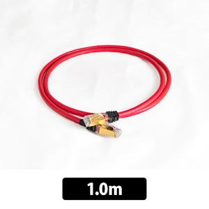 (お取り寄せ) ACOUSTIC REVIVE R-AL1-AS 1.0m オーディオグレードLANケーブル アコースティックリヴァイブ