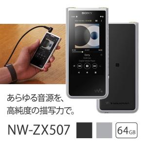 (倉庫) SONY Walkman NW-ZX507 SM デジタルオーディオプレーヤー シルバー 64GB