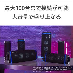 (お取り寄せ 納期:未定) SONY ソニー ...の詳細画像2