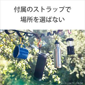 (お取り寄せ 納期:未定) SONY ソニー ...の詳細画像3