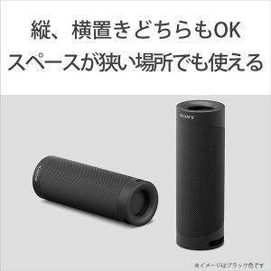 (お取り寄せ 納期:未定) SONY ソニー ...の詳細画像5
