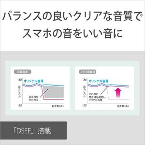 SONY WI-C100 BZ ブラック ワイ...の詳細画像3