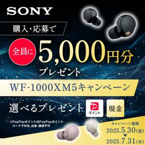 【在庫限り】SONY WF-1000XM5 P...の詳細画像2