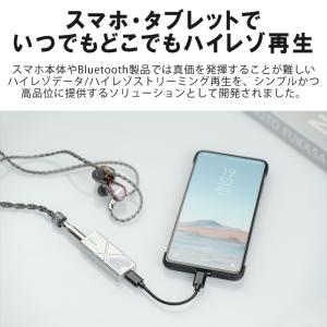 FIIO KA13 Silver フィーオ ヘ...の詳細画像3