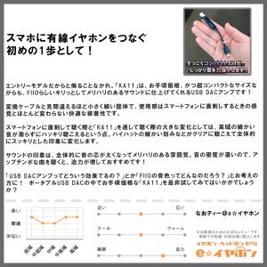 FIIO KA11 Type-C Black ...の詳細画像1