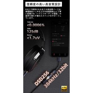 FIIO KA11 Type-C Black ...の詳細画像5