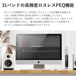 FIIO K19 Black ヘッドホンアンプ...の詳細画像4