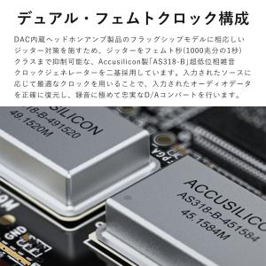FIIO K19 Black ヘッドホンアンプ...の詳細画像5