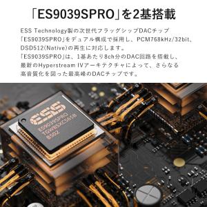 FIIO K19 Silver ヘッドホンアン...の詳細画像1