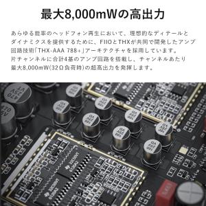 FIIO K19 Silver ヘッドホンアン...の詳細画像2