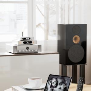 FIIO BR15 R2R Silver 【F...の詳細画像4