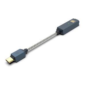 iFi-Audio GO link 2 Max【IFI-GO-LINK2MAX】ポータブルDACアンプ 3.5mm / 4.4mm バランス接続 USB-C ESS製DAC×2 アイファイオーディオ