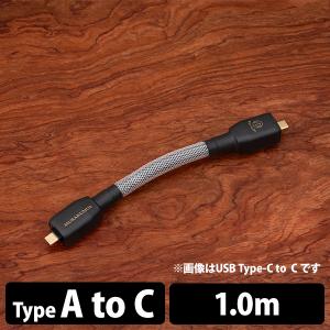 (お取り寄せ/納期:3カ月程度) Brise Audio MURAKUMO2-USB A to TYPE-C 1.0m (MUR2USB-AC100) ブリスオーディオ USBケーブル オーディオ用｜e-earphone