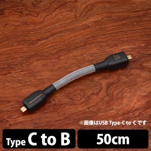 (お取り寄せ／納期:2カ月程度) Brise Audio MURAKUMO2-USB TYPE-C to B 50cm (MUR2USB-CB050) ブリスオーディオ USBケーブル オーディオ用