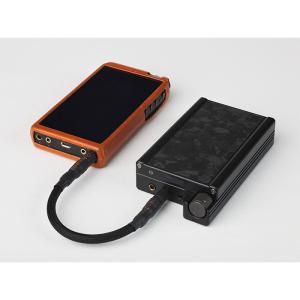 (お取り寄せ) Brise Audio WAT...の詳細画像4
