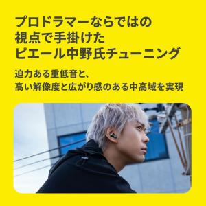 AVIOT TE-U1 ピエール中野コラボモデ...の詳細画像2