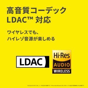 AVIOT TE-U1 ピエール中野コラボモデ...の詳細画像3