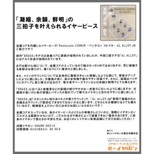 日本ディックス Pentaconn COREI...の詳細画像2