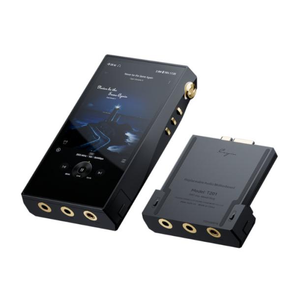 Cayin N6iii/E203 + T201スターターセット【SPK-A006-C201+T201...