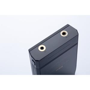 Cayin N6iii/E203 デジタルオー...の詳細画像3