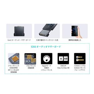 Cayin N6iii/E203 デジタルオー...の詳細画像5