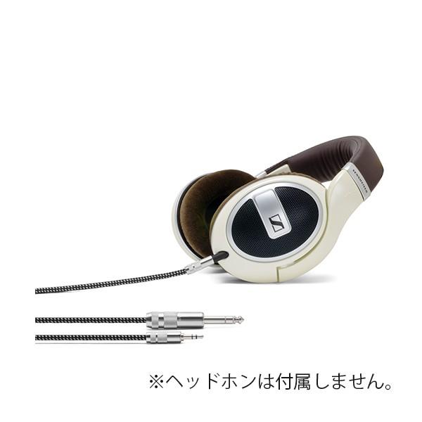 (お取り寄せ) OYAIDE HPSC-63 HD500 2.5m