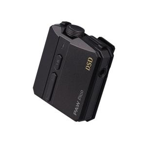 Lotoo ポータブルオーディオプレーヤー PAW Pico USB-C,Lightning ケーブルバンドルパッケージ