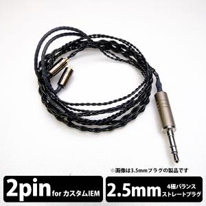 eイヤホン・ラボ Iolite CIEM Flat 2Pin-3.5mm(イヤーループ仕様