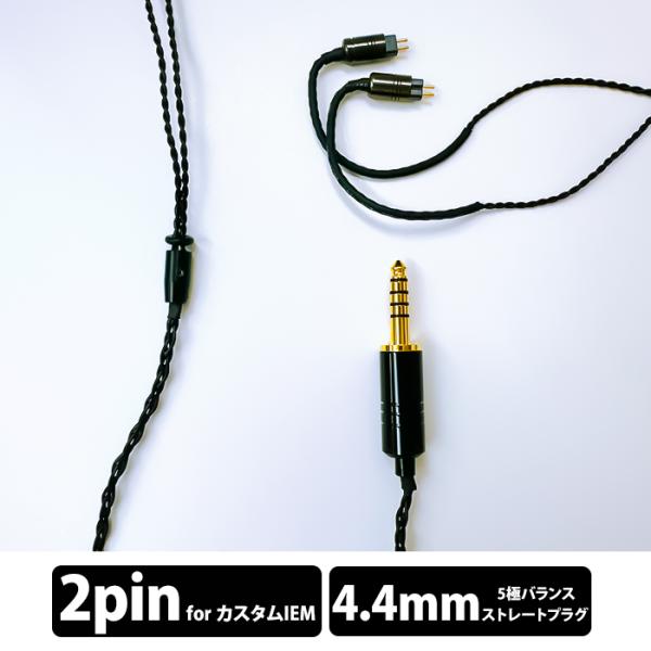 e☆イヤホン・ラボ Obsidian GeN2 CIEM2Pin-4.4mm (イヤーループ仕様) ...