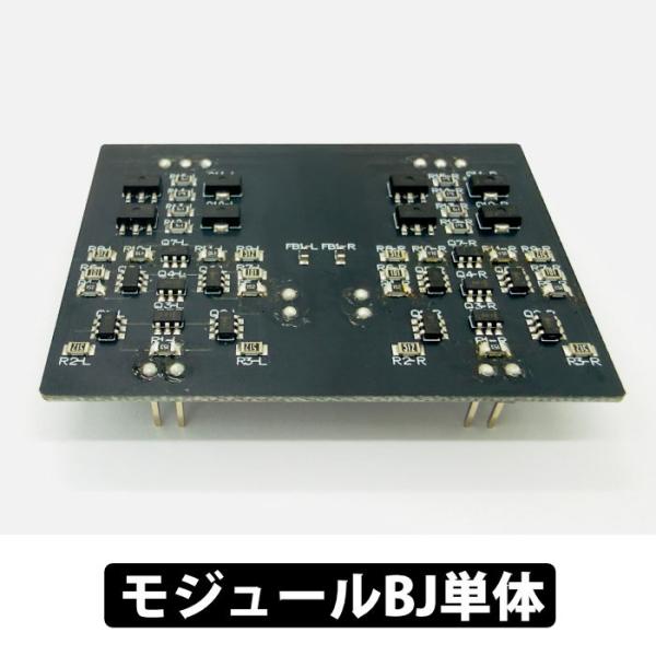 e☆イヤホン・ラボ Riccia(リシア)専用 モジュールBJ単体 専用モジュール 交換用モジュール...