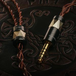 Forte Ears MACBETH 有線 イ...の詳細画像5
