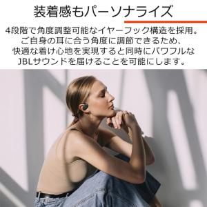 (在庫限り) JBL SOUNDGEAR SE...の詳細画像4