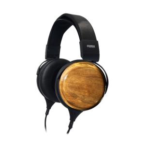 FOSTEX TH810 有線 ヘッドホン ヘッドフォン 密閉型 フラッグシップ ダイナミック フィット感 アンバランス 3.5mm ミニプラグ フォステクス