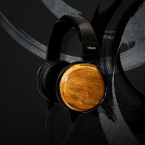 FOSTEX TH810 有線 ヘッドホン ヘ...の詳細画像2