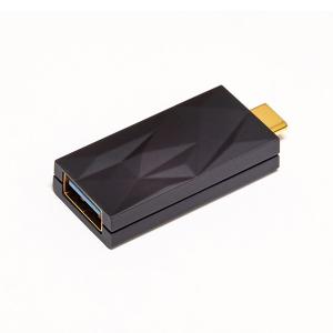 (倉庫) iFi-Audio iSilencer+ CA USB-C端子オス - USB-A端子メス