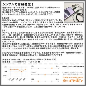 iFi-Audio GO link アイファイ...の詳細画像3