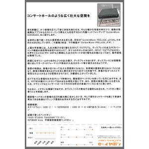 HIFIMAN GoldenWave SERE...の詳細画像4