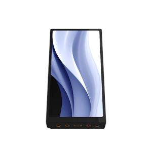 HiByMusic R6 Pro MAX Bl...の詳細画像5