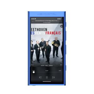 HiBy Digital M300 128GB – DAPの買取情報