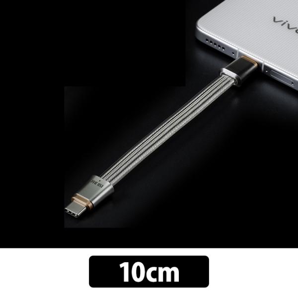 ddHiFi TC19CC USB-C To USB-C OTGケーブル 10cm USBケーブル ...