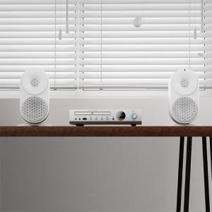 SHANLING CD80II Black C...の詳細画像3