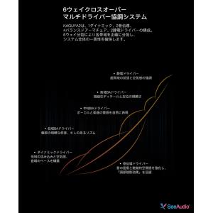 (お取り寄せ) See audio KAGUY...の詳細画像2