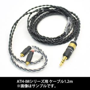 final シルバーコートケーブル 2m final製品用（オリジナルロッキングプラグ）】シルバーコートケーブル
