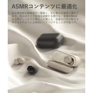 final ZE500 for ASMR ワイ...の詳細画像2