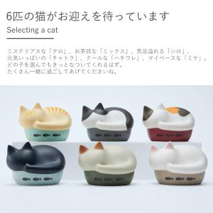 (新色登場) radius NEKO 完全ワイ...の詳細画像5